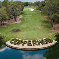 Innisbrook Copperhead